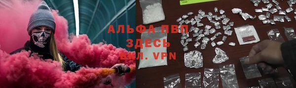 твердый Магадан