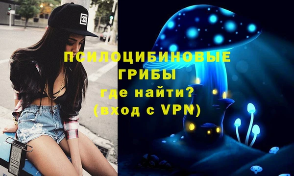 твердый Магадан