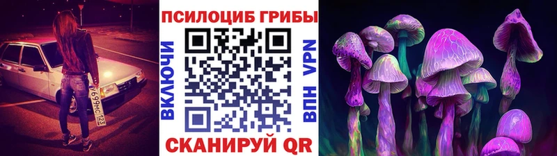 Галлюциногенные грибы Cubensis  Нерехта 